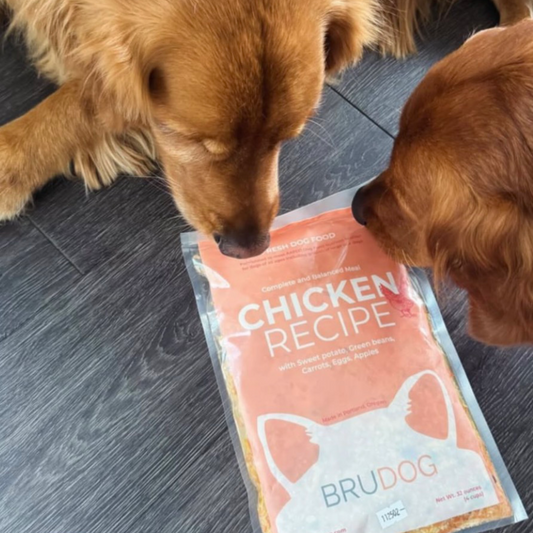 Fresh Chicken Meals for Your Dog